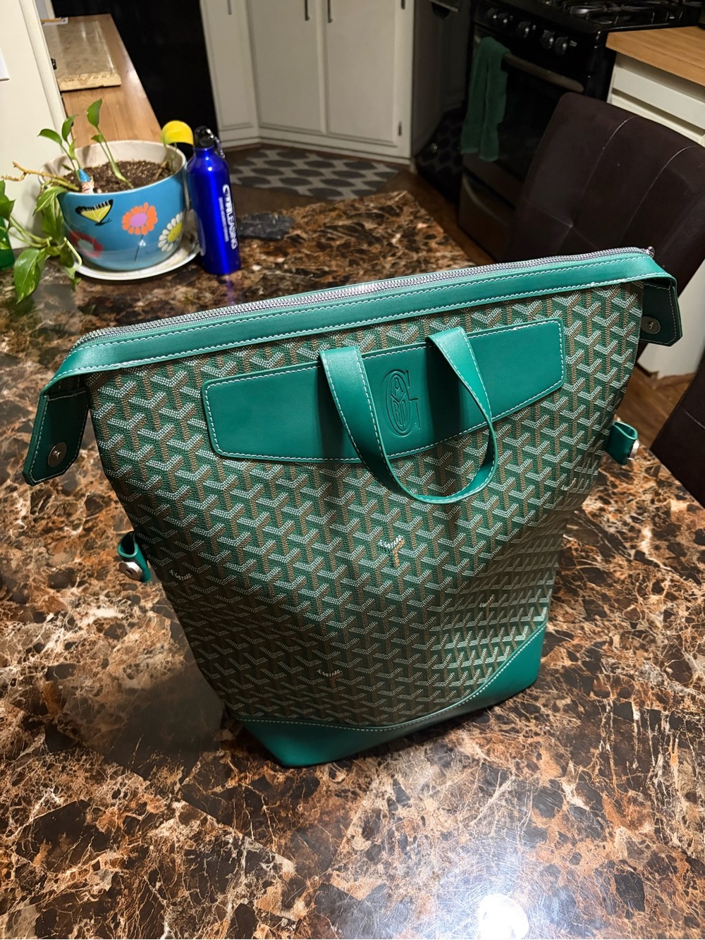 Goyard Green Leather Backpack Tote